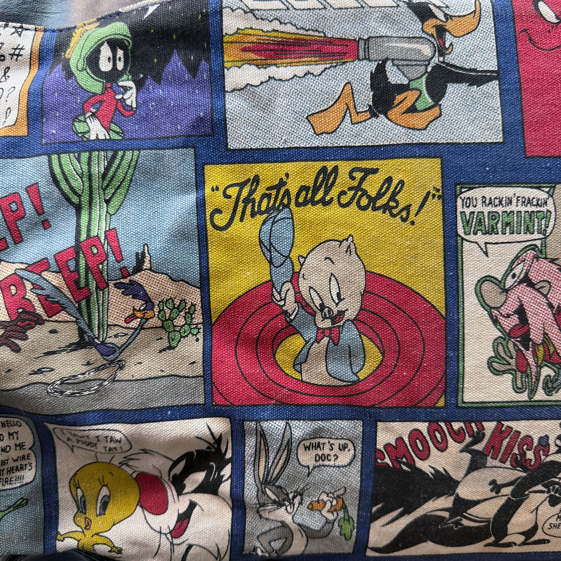 Vintage 1997 Looney Tunes Weekender 18L Bag