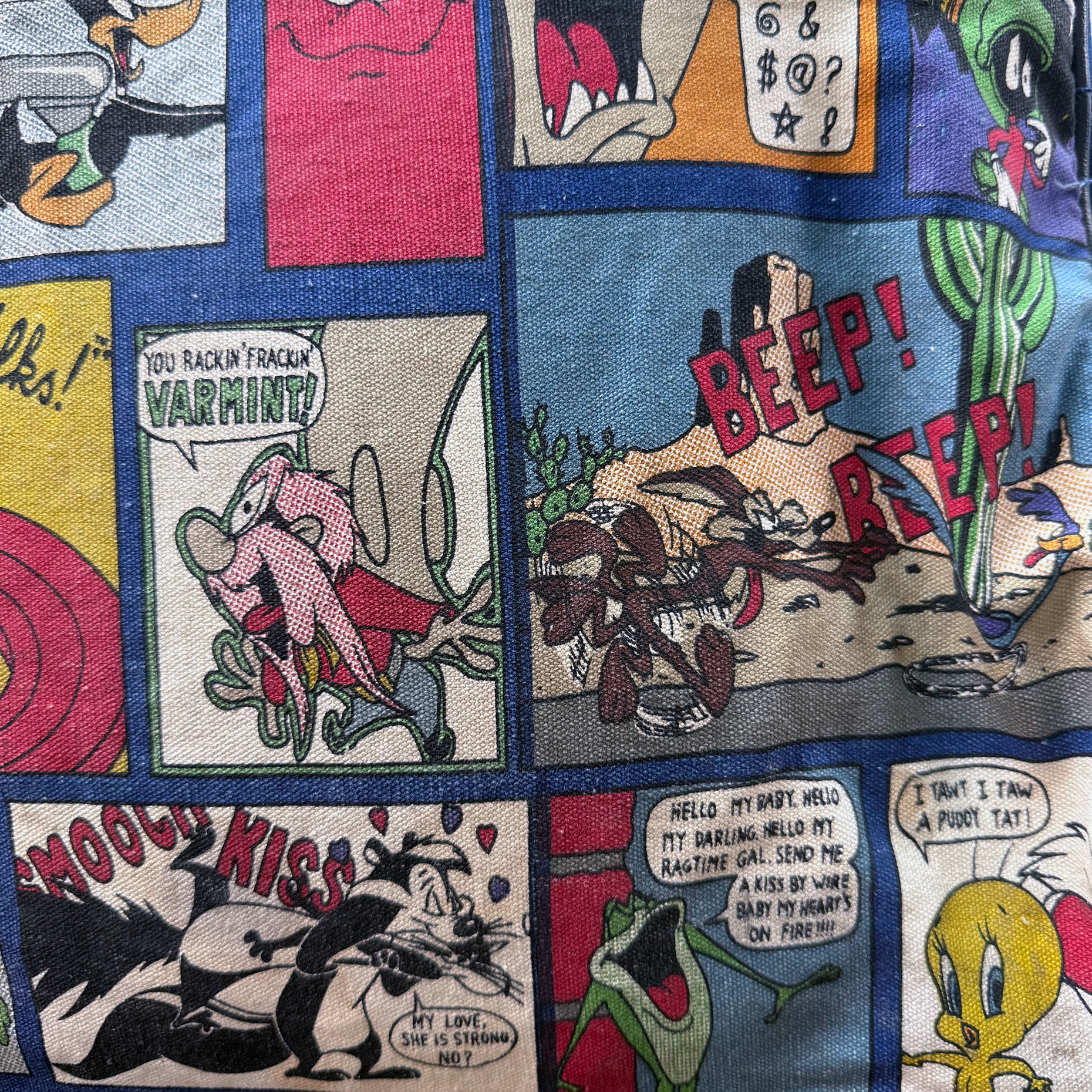 Vintage 1997 Looney Tunes Weekender 18L Bag