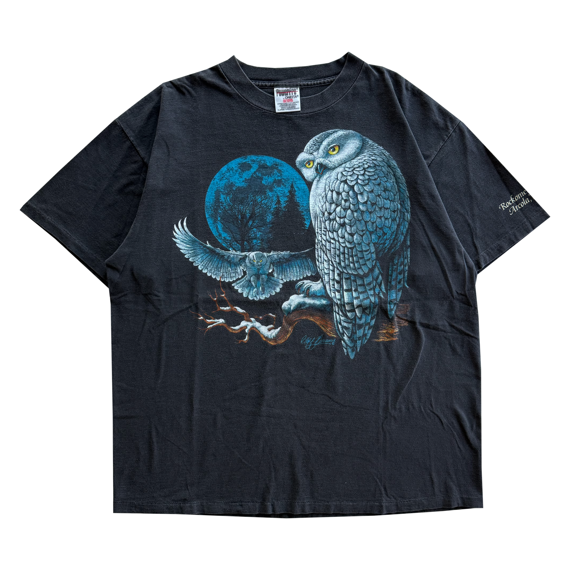 Vintage 1996 Snowy Owl Tee