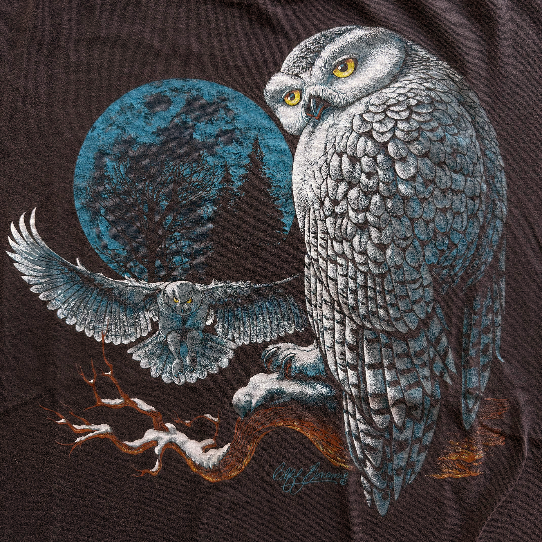 Vintage 1996 Snowy Owl Tee