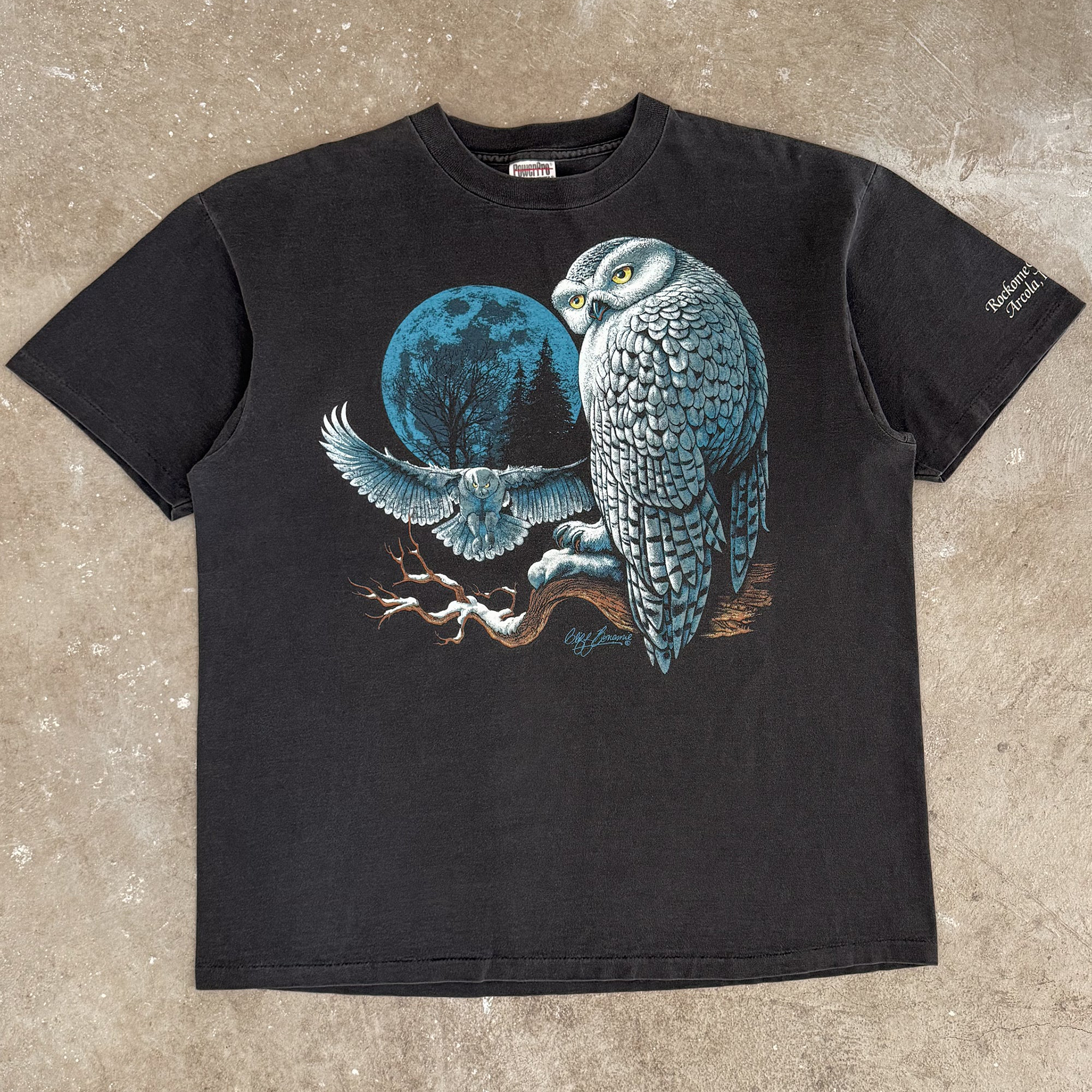 Vintage 1996 Snowy Owl Tee