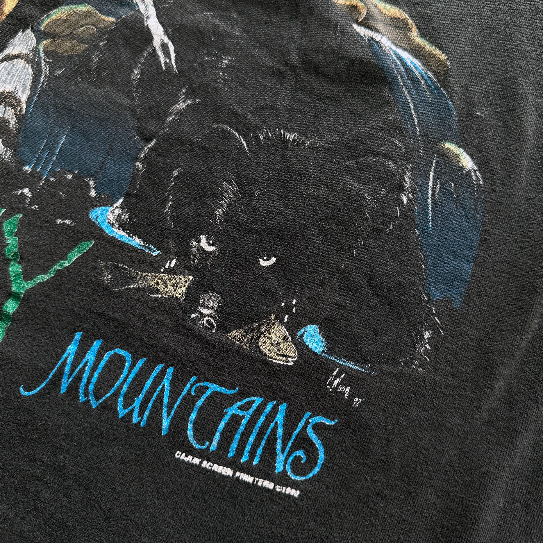 Vintage 1992 Great Smoky Mountains Wilderness Nature Tee