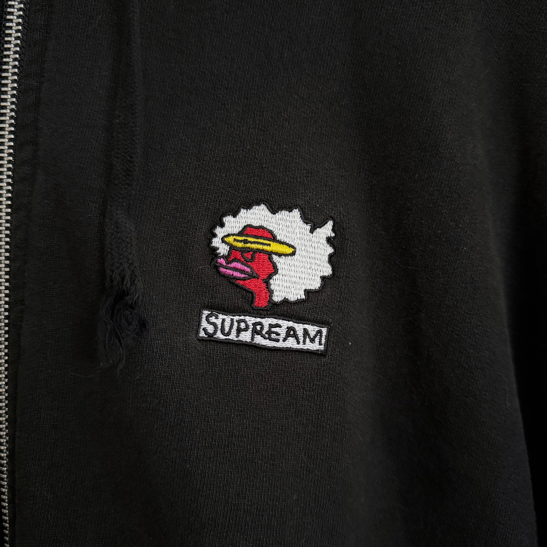 Supreme FW17 Gonz Ramm Zip Up Sweatshirt