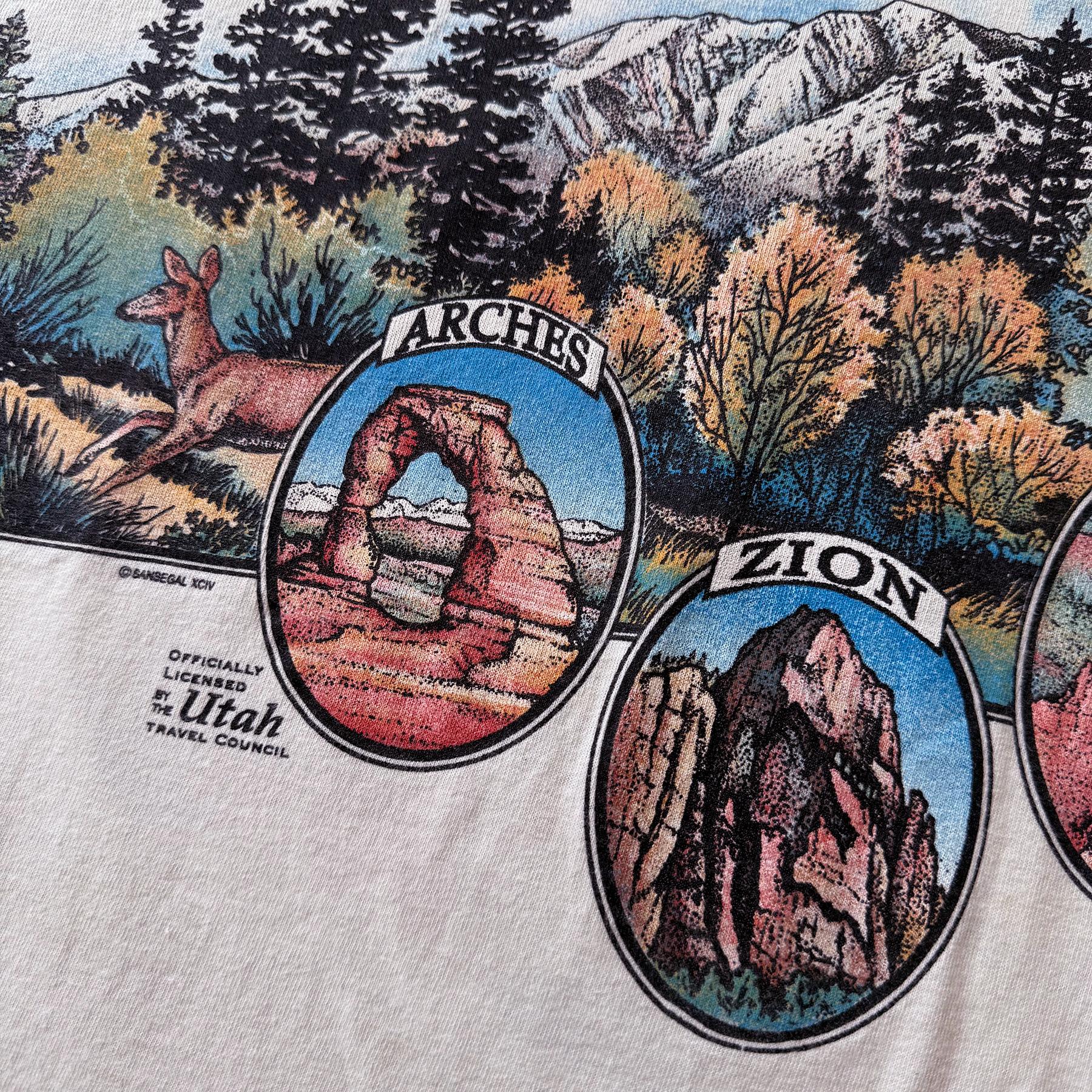 Vintage 1994 Utah Earth Day AOP Tee