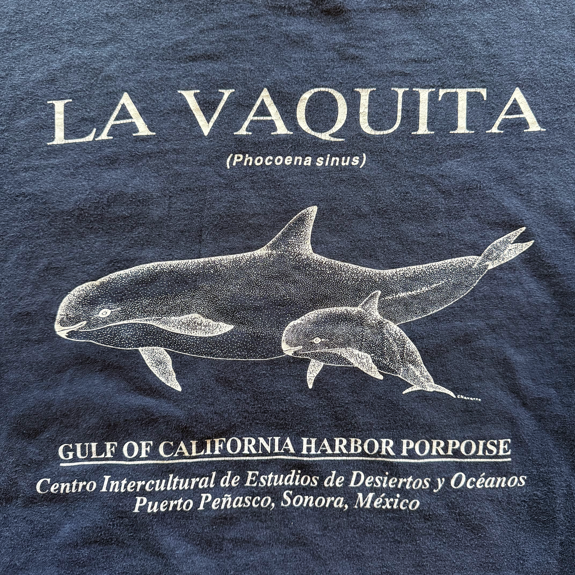 Vintage 1990s Whale Tee