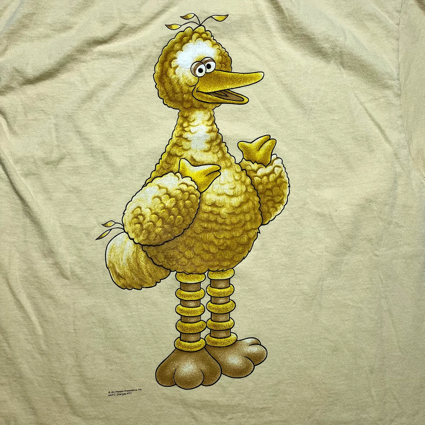 Vintage 1990s Sesame Street Big Bird Birdwear Skate Tee