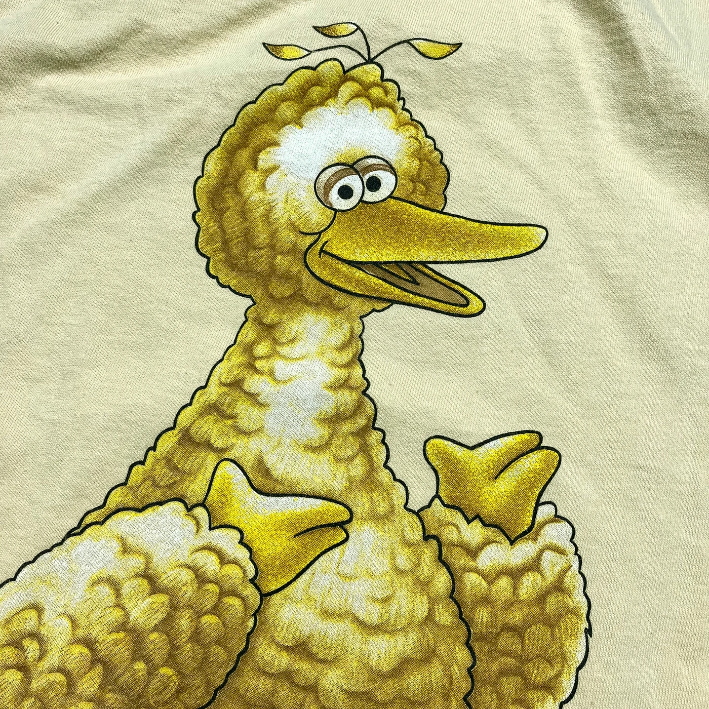 Vintage 1990s Sesame Street Big Bird Birdwear Skate Tee
