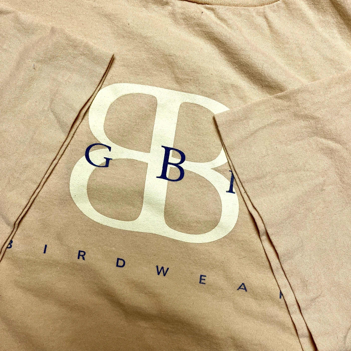 Vintage 1990s Sesame Street Big Bird Birdwear Skate Tee