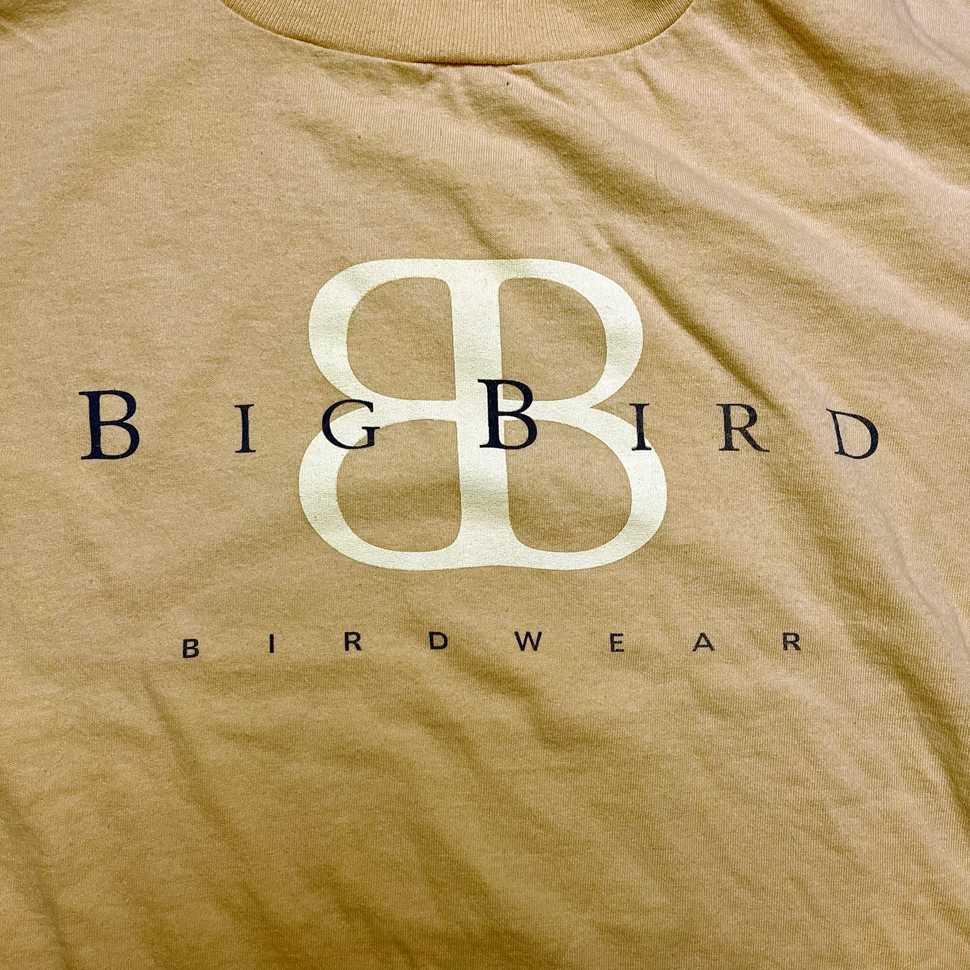 Vintage 1990s Sesame Street Big Bird Birdwear Skate Tee