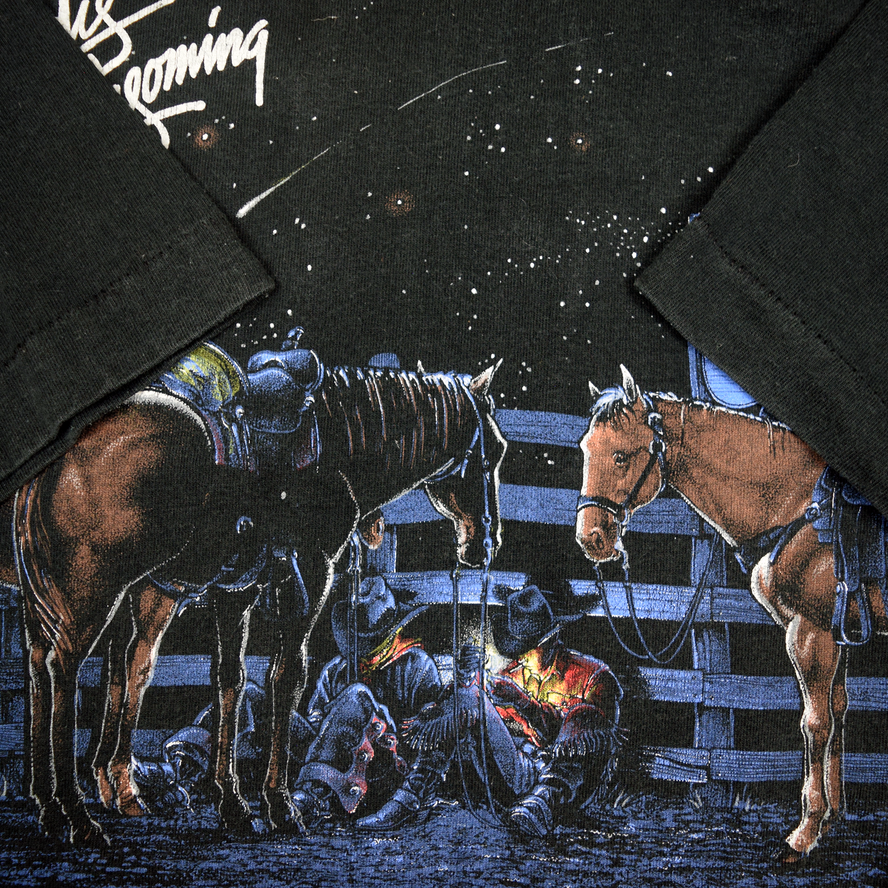 Vintage 1993 Wyoming Cowboy Camp Nature Scene Tee