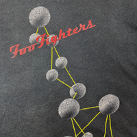 Vintage 2000s Foo Fighters The Colour And The Shape Tee