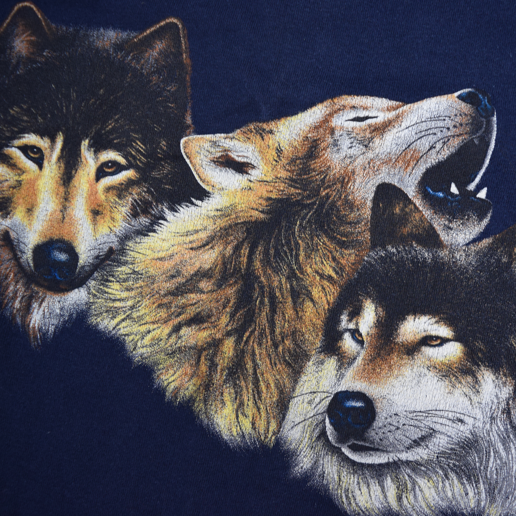 Vintage 1990s Rocky Mountain National Park Wolf Tee