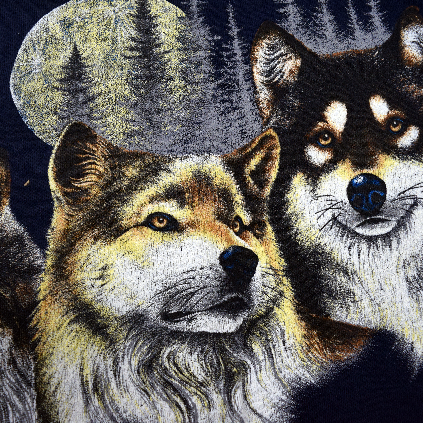 Vintage 1990s Rocky Mountain National Park Wolf Tee