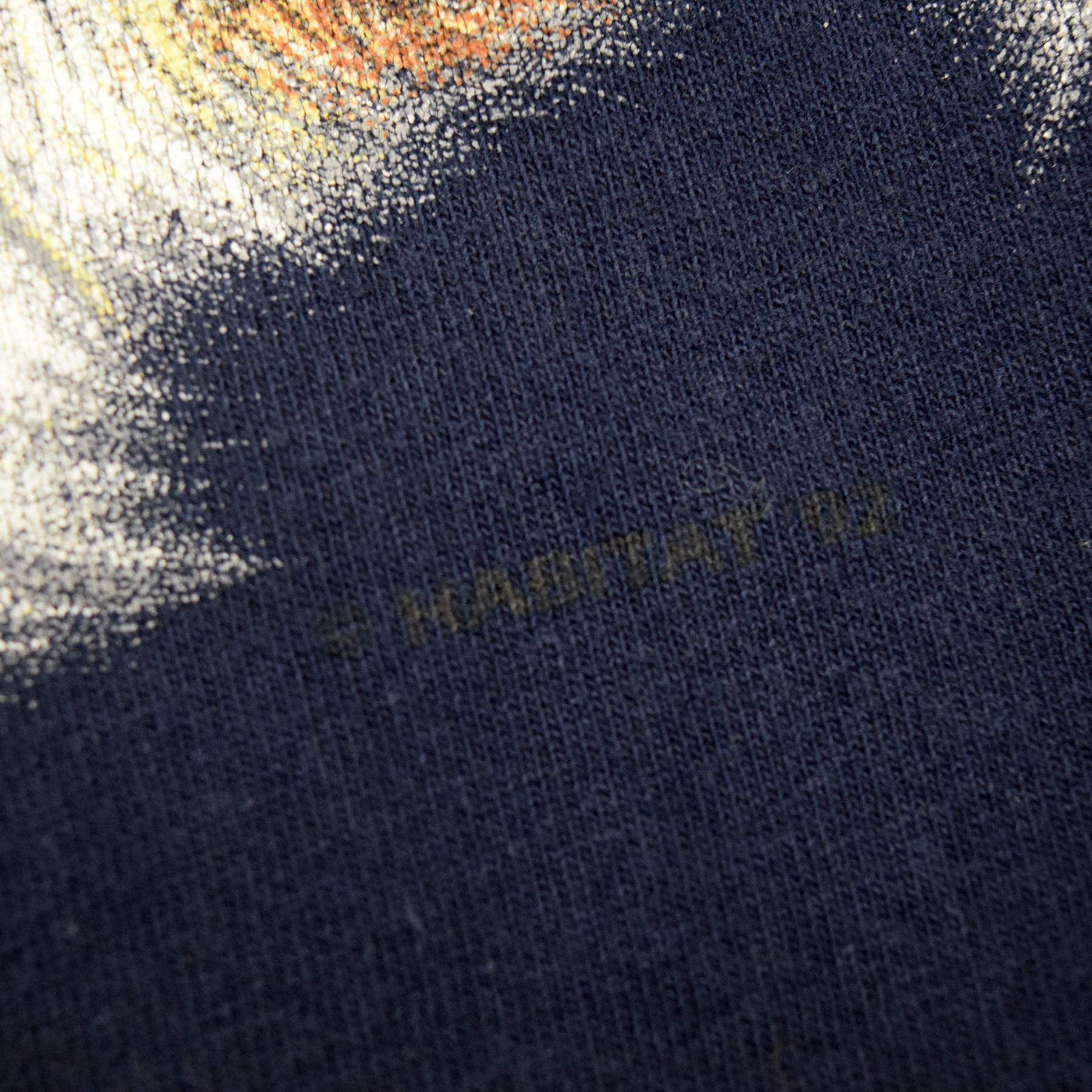 Vintage 1990s Rocky Mountain National Park Wolf Tee