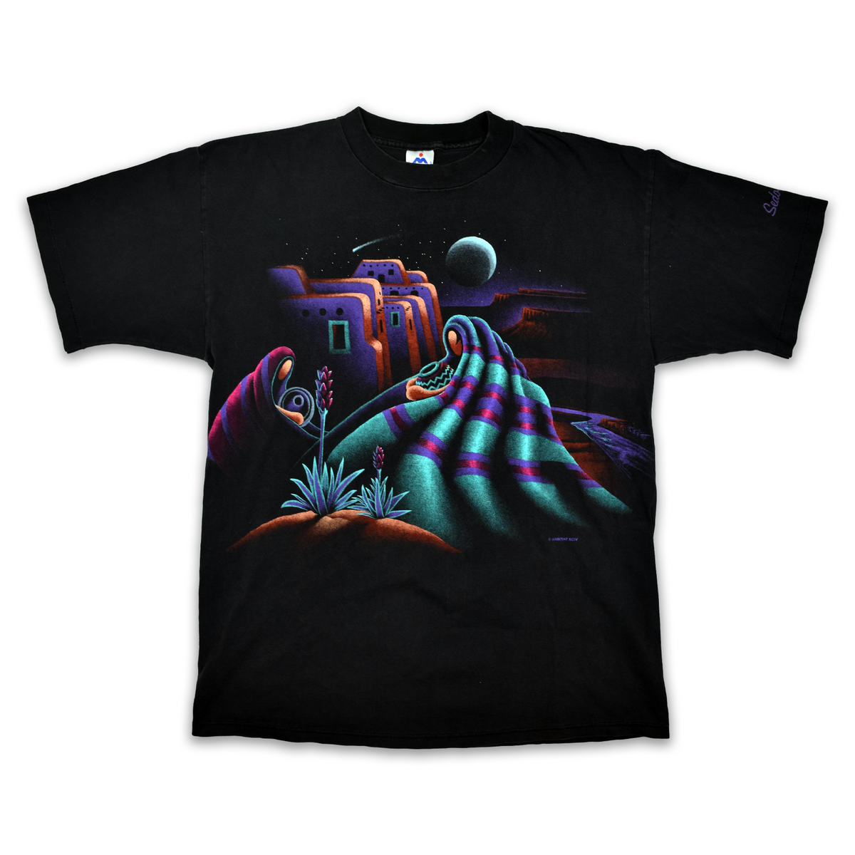 Vintage 1994 Arizona Adobe Desert Scene AOP Tee