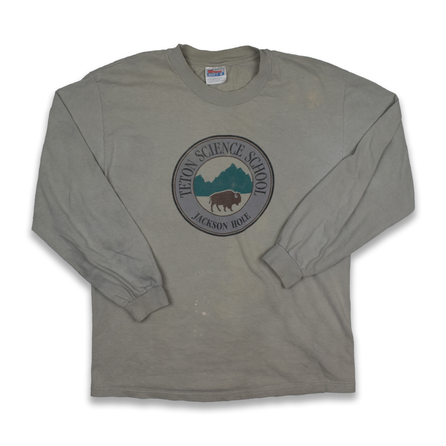 Vintage 1990s Jackson Hole Teton Science School Buffalo Tee