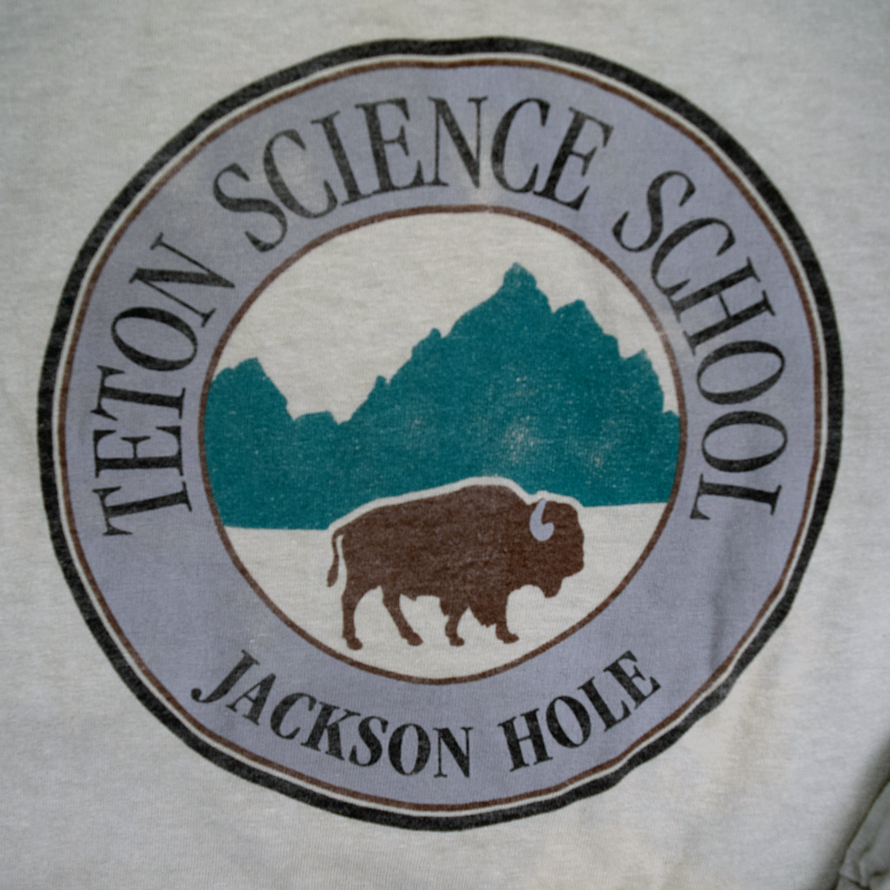 Vintage 1990s Jackson Hole Teton Science School Buffalo Tee