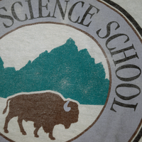 Vintage 1990s Jackson Hole Teton Science School Buffalo Tee