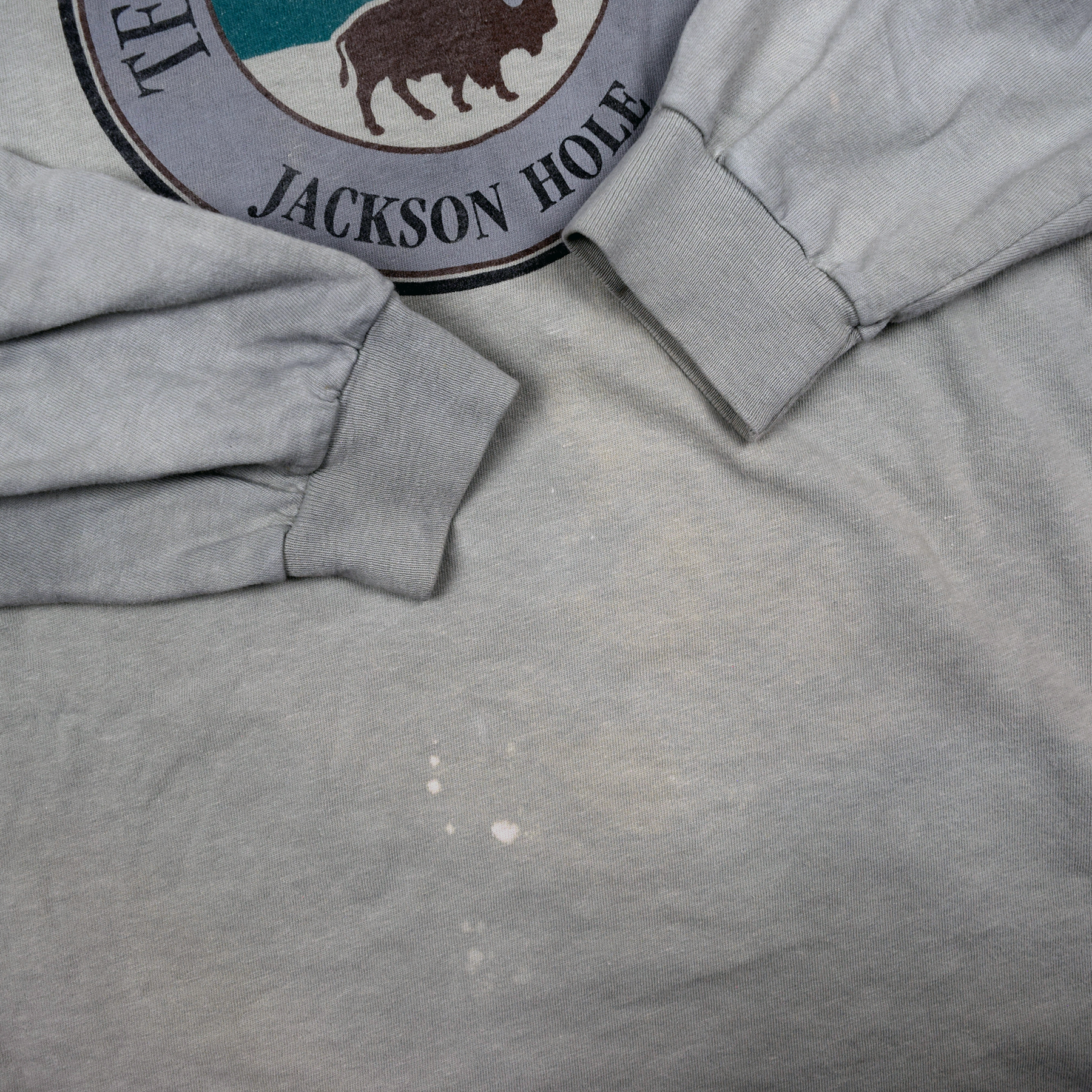 Vintage 1990s Jackson Hole Teton Science School Buffalo Tee