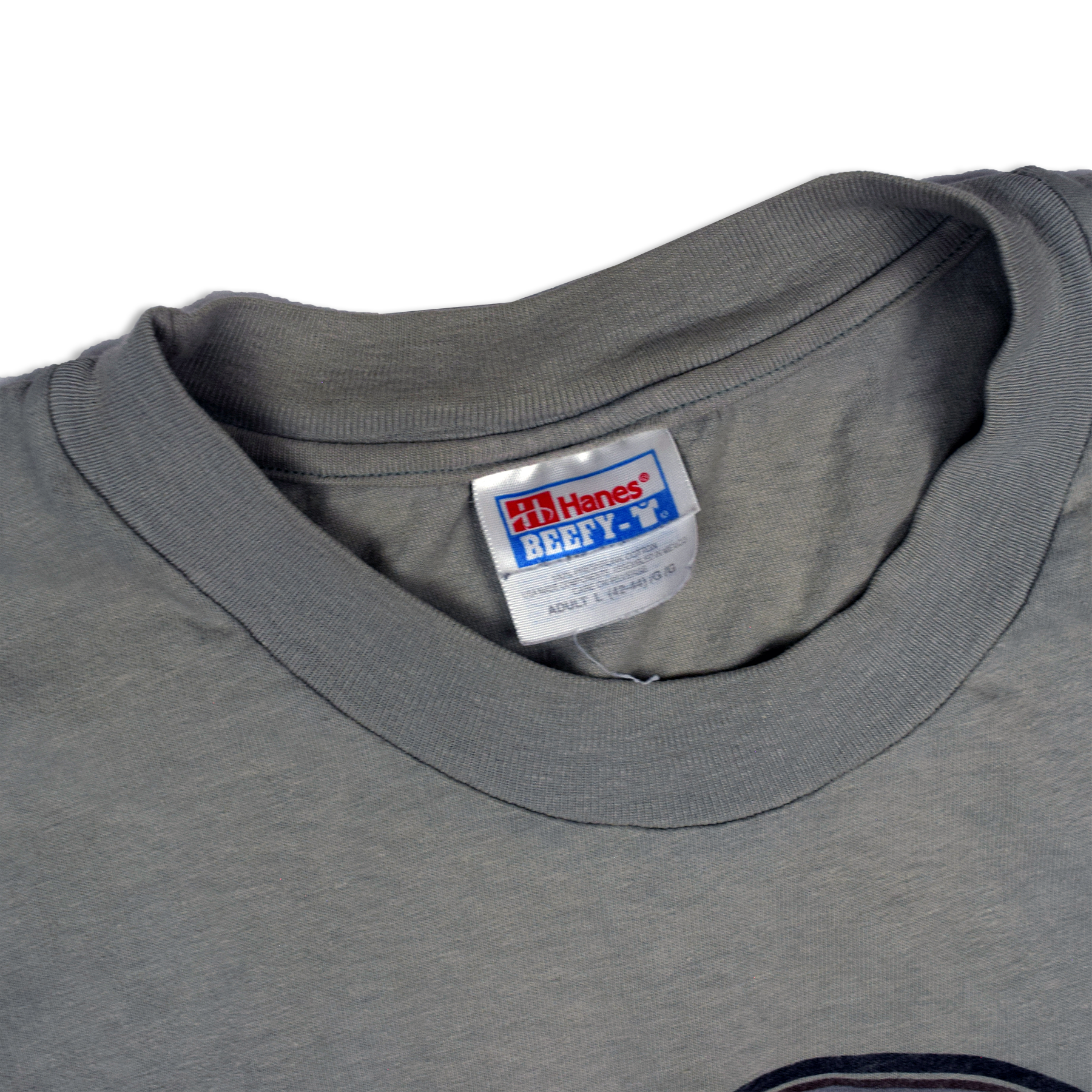 Vintage 1990s Jackson Hole Teton Science School Buffalo Tee