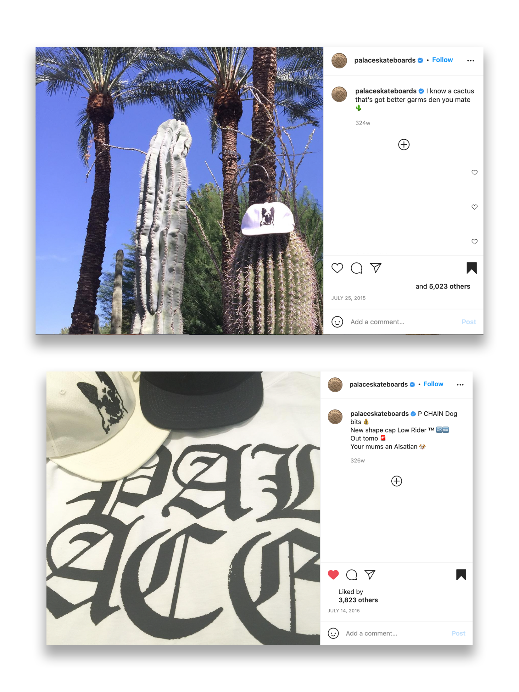 Palace 1/50 London Exclusive Grand Opening SS15 German Shepherd 6 Panel