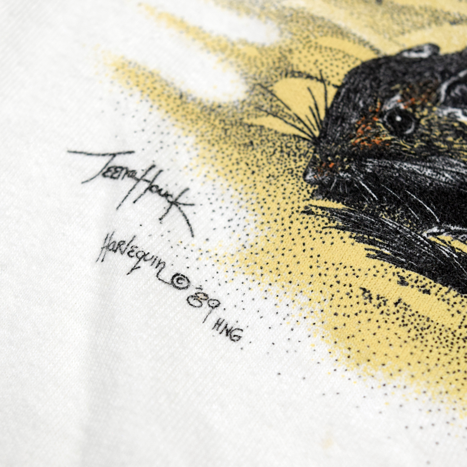 Vintage 1989 Harlequin Desert Art Tee