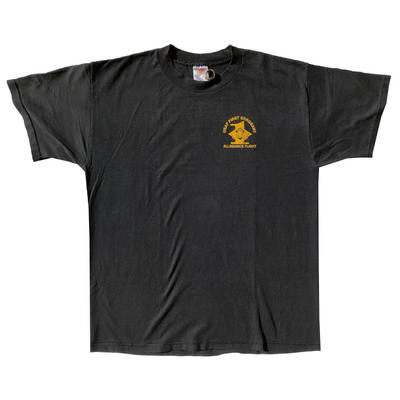 Vintage 2000s Allegiance Flight Air Force Tee