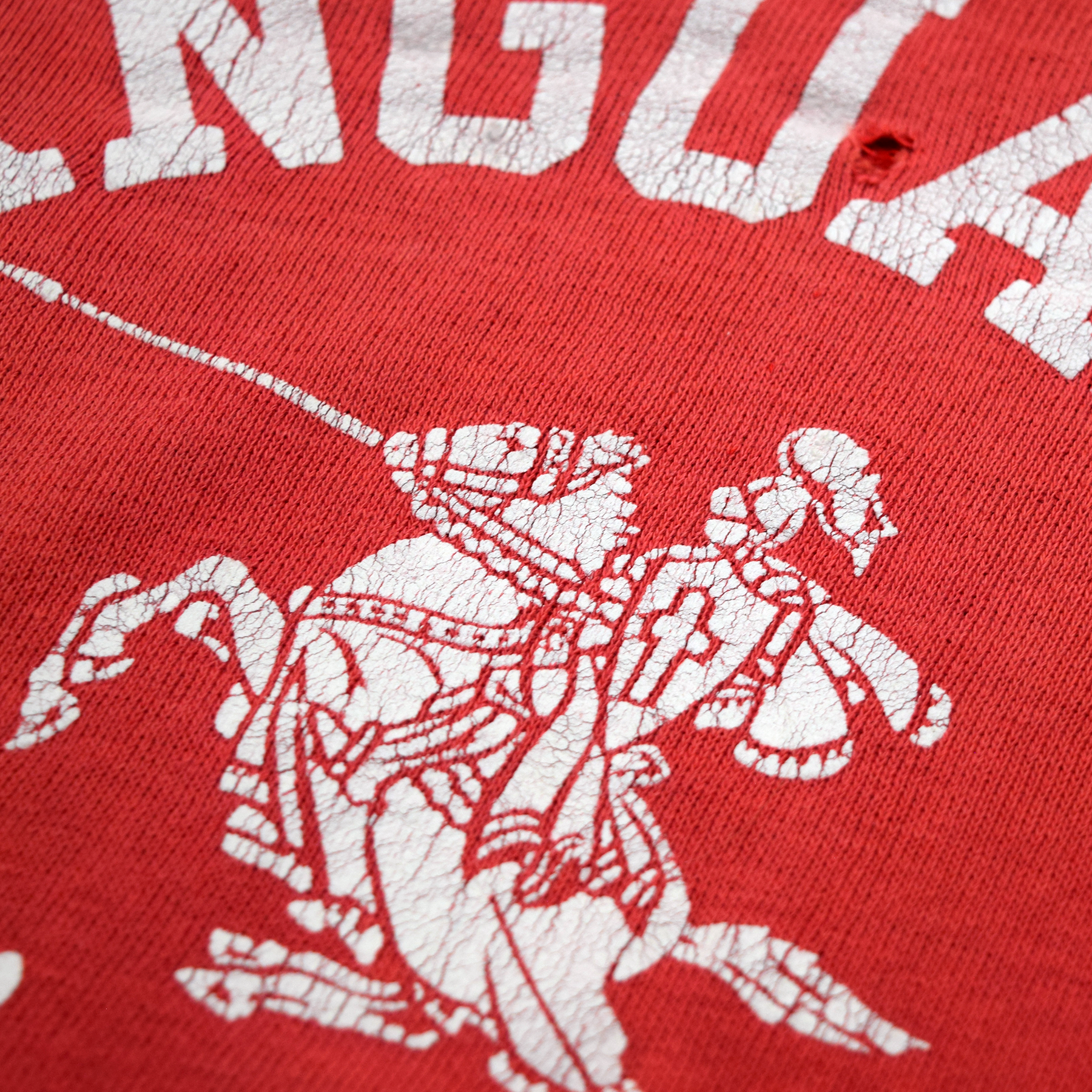Vanguard Knights Sweatshirt — Display